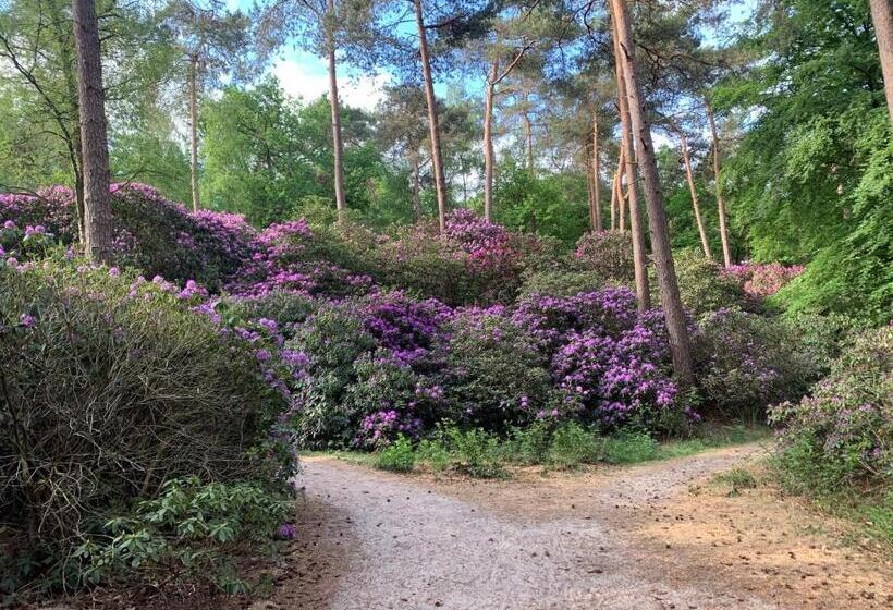 هتل Duynparc Soest