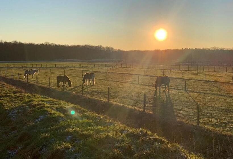 هتل Duynparc Soest