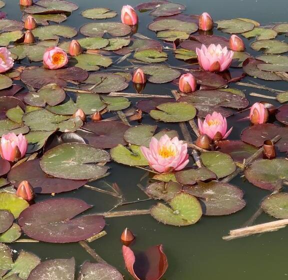 هتل Duynparc Soest