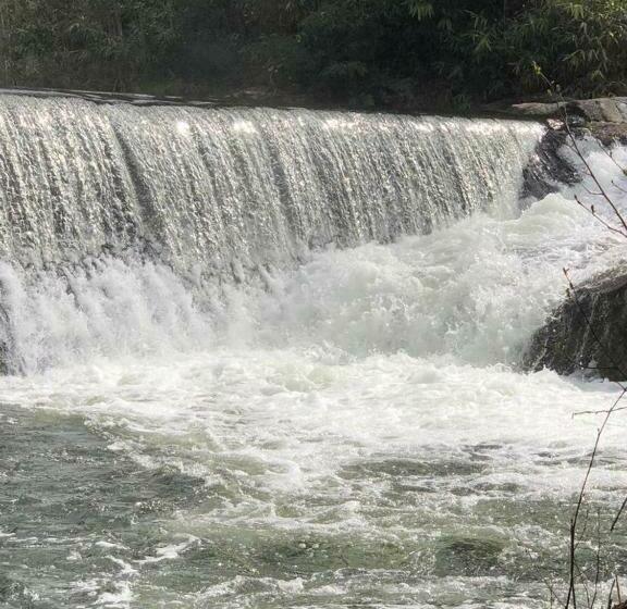 Отель Quinta Vale Da Aldeia Penalva Do Castelo