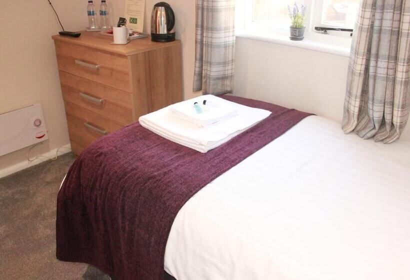 تختخواب و صبحانه The Dog Inn