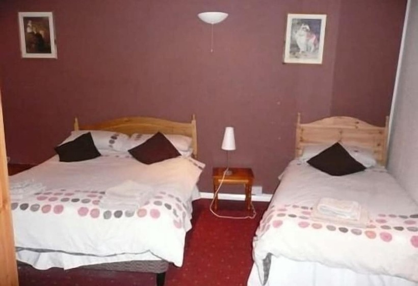 تختخواب و صبحانه The Dog Inn