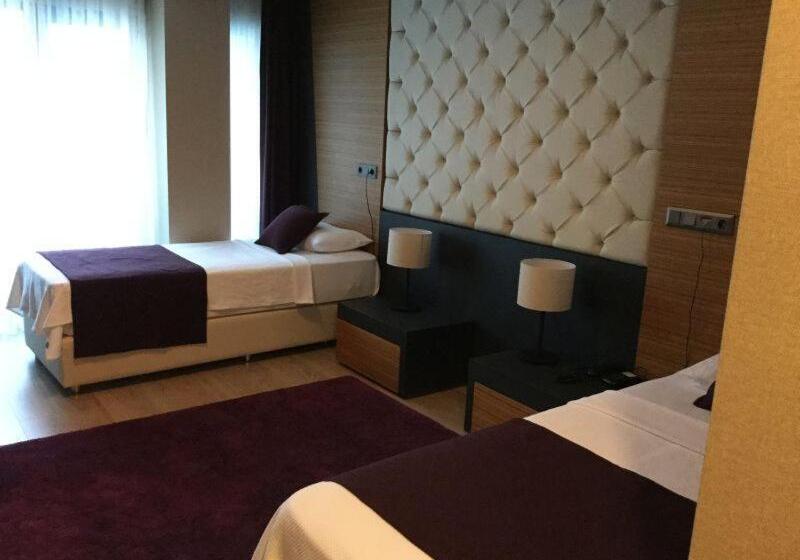 Fotos del hotel Aydinoglu:  10