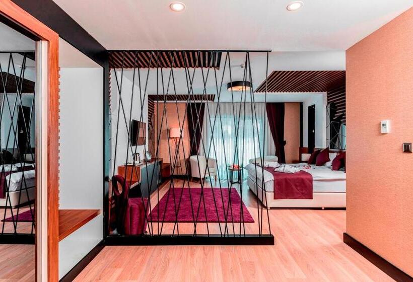 Fotos del hotel Aydinoglu:  6