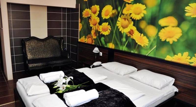 Fotos del hotel Green Hotel Budapest:  17