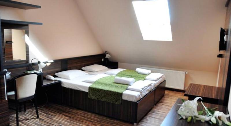 Fotos del hotel Green Hotel Budapest:  4