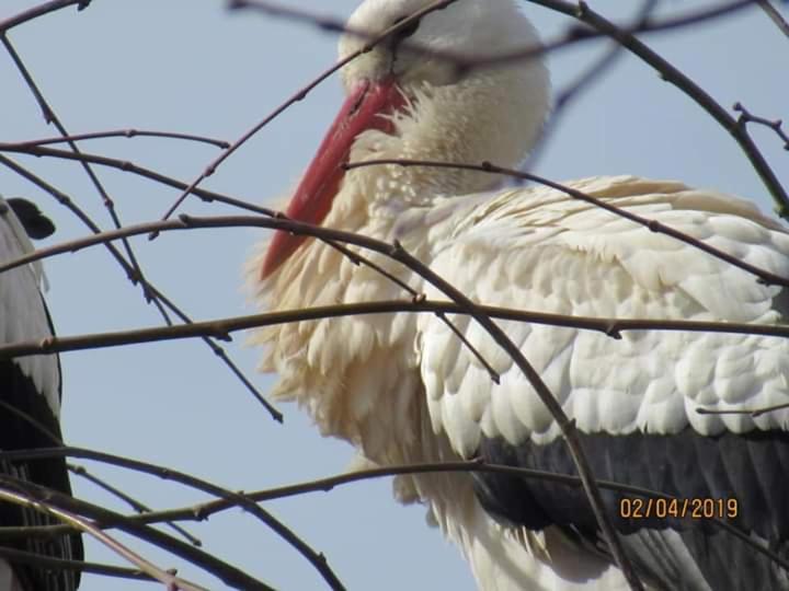 住宿加早餐  Cour Sud