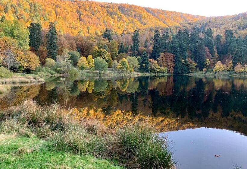 膳宿费 Chambres D Hôtes Des Cascades St Nicolas