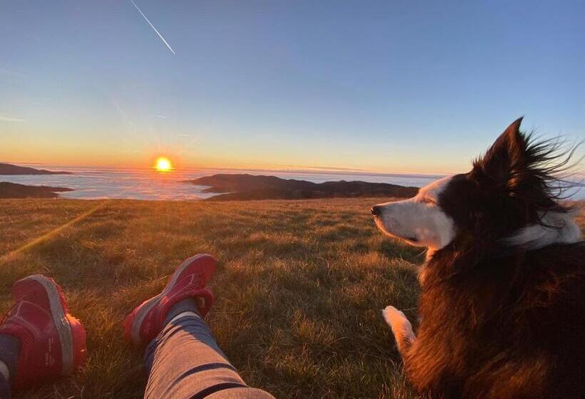 膳宿费 Chambres D Hôtes Des Cascades St Nicolas