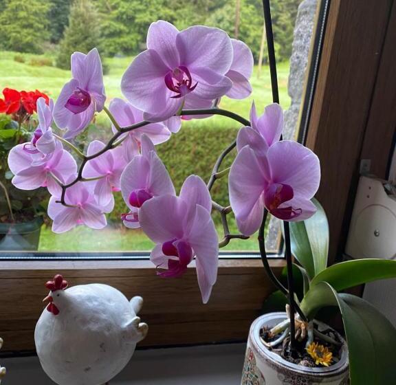 膳宿费 Chambres D Hôtes Des Cascades St Nicolas