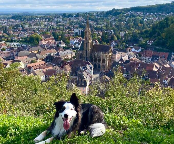 膳宿费 Chambres D Hôtes Des Cascades St Nicolas