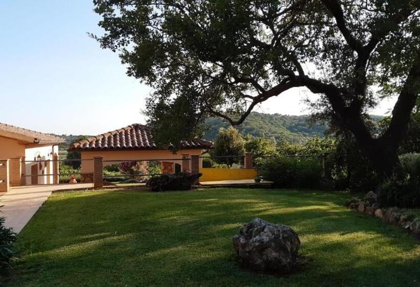 B&b Il Giardino