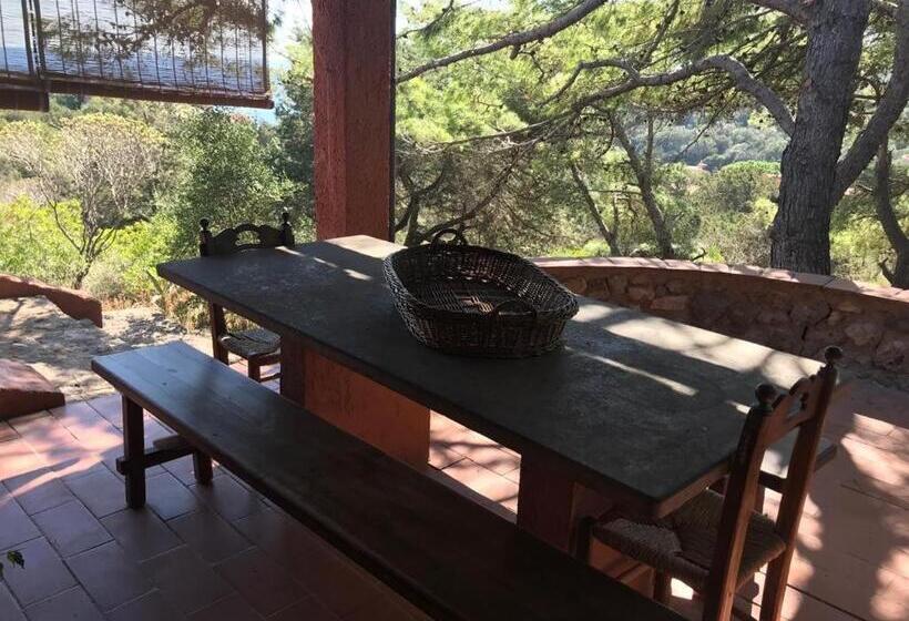 مبيت وإفطار Casa Diana