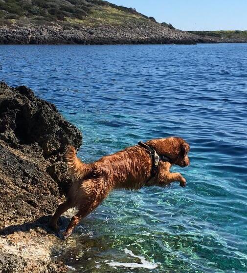 مبيت وإفطار Casa Diana