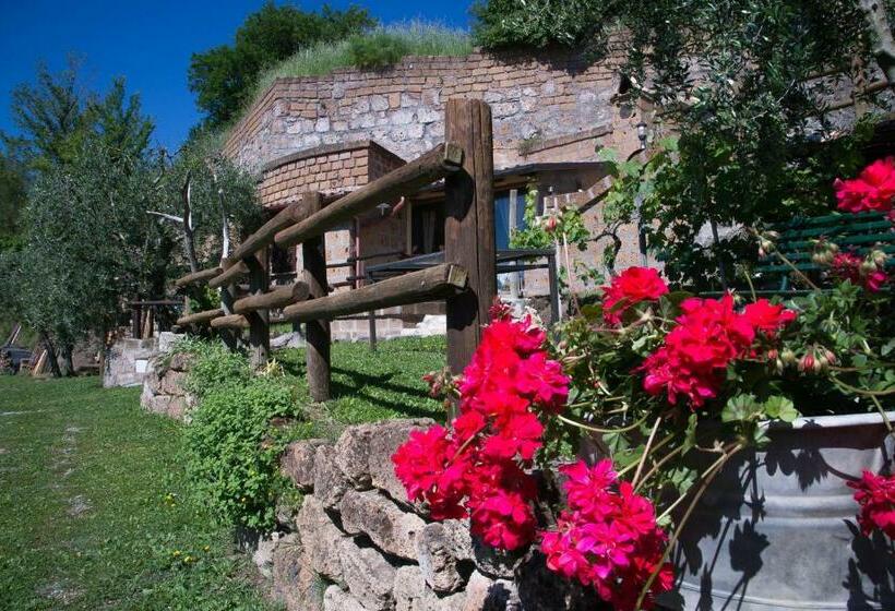 민박 La Grotta Su Civita