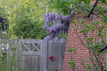 Beeltjens B&b: Wolf&belle