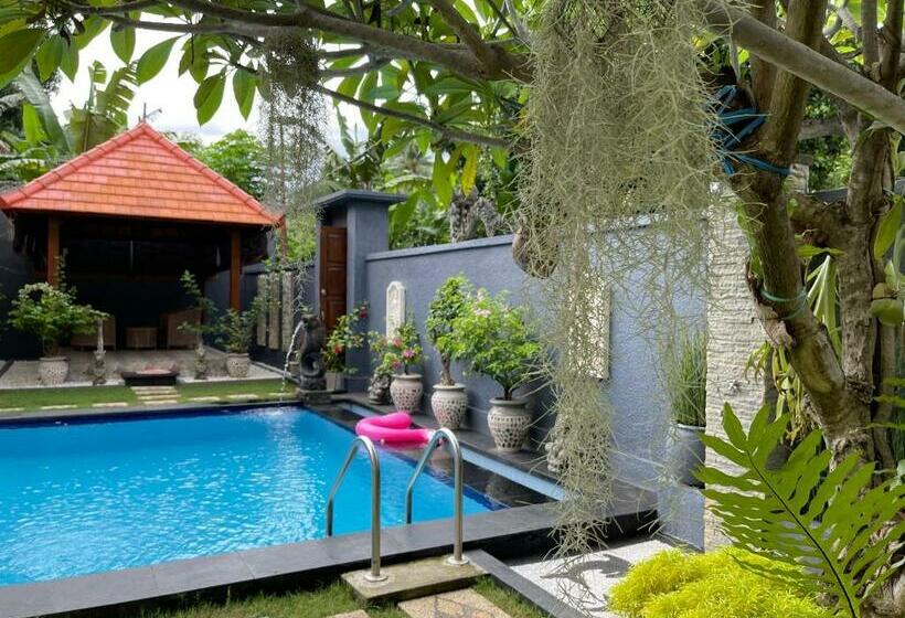 Отель Mias Jungle House