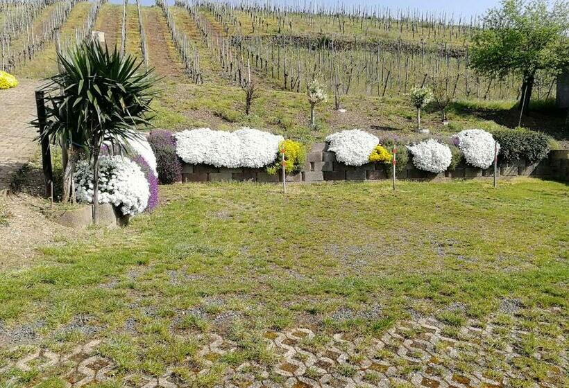 ペンション Gästehaus Bausch