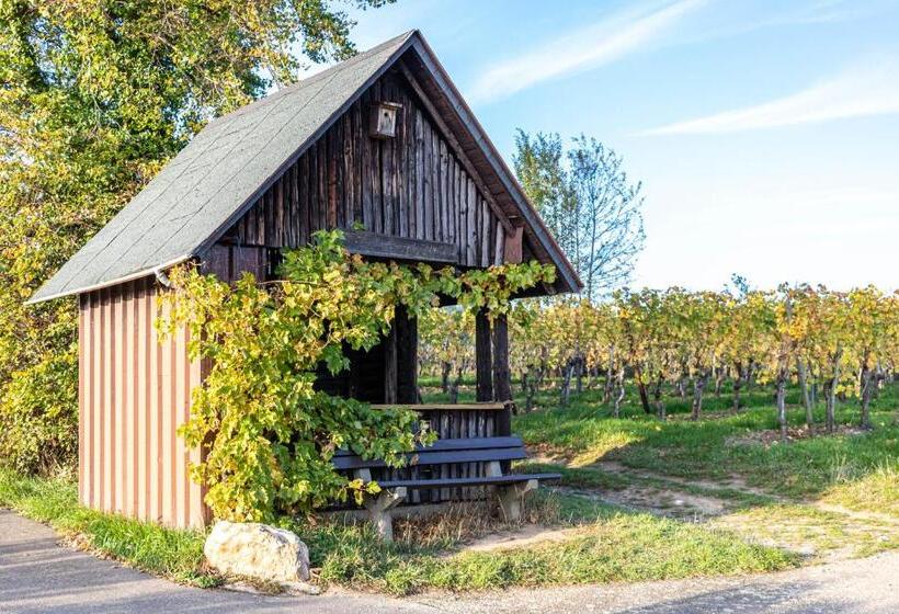 ペンション Gästehaus Bausch