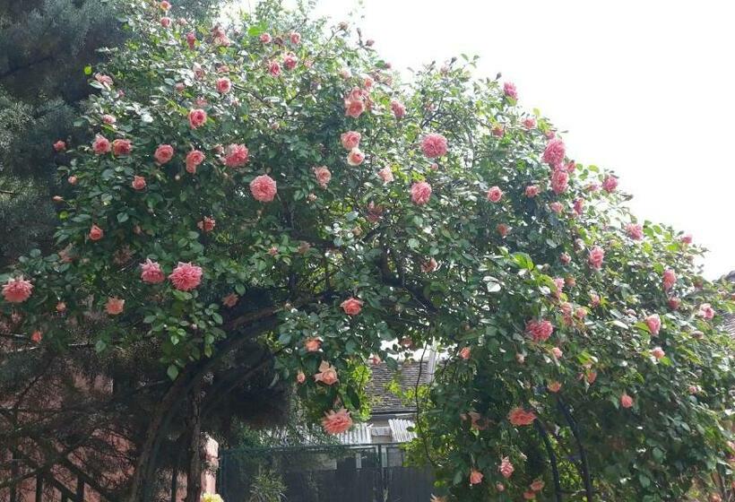 ペンション La Maison Rose: Lieu Atypique