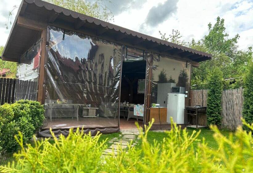 تختخواب و صبحانه Residence Rooms Bucovina