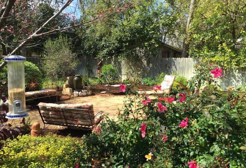 Bed and Breakfast Comal Inn