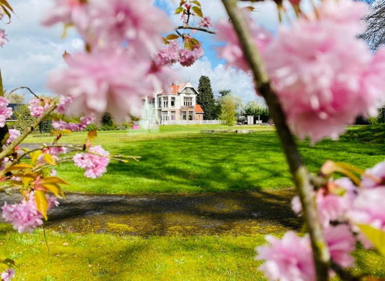 مبيت وإفطار Devilla