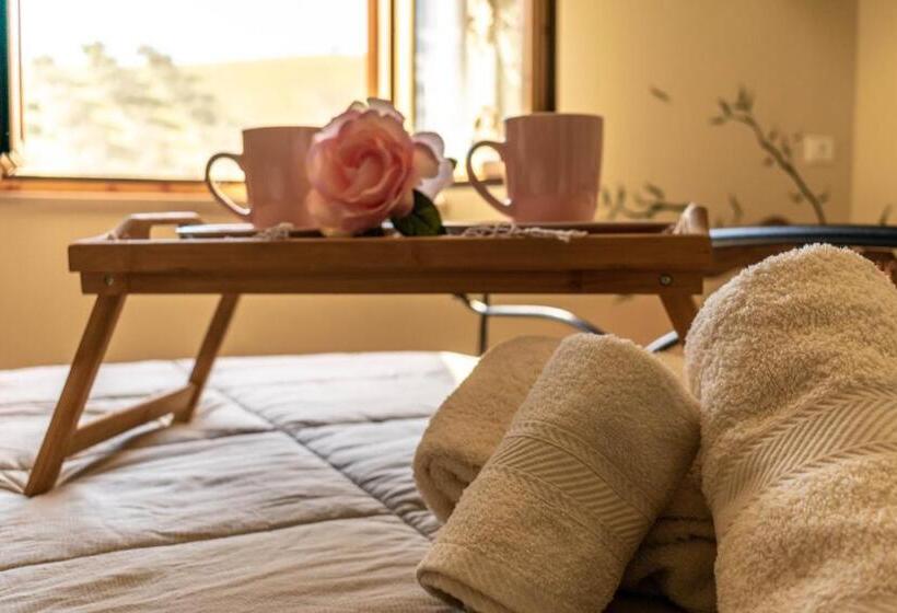 مبيت وإفطار La Casa Del Nonno