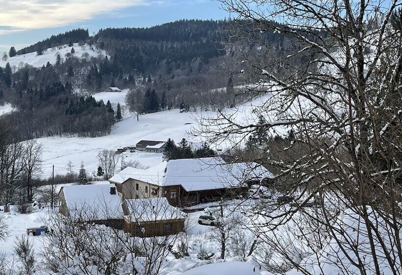 민박 La Ferme De Jean Entre Lacs Et Montagnes