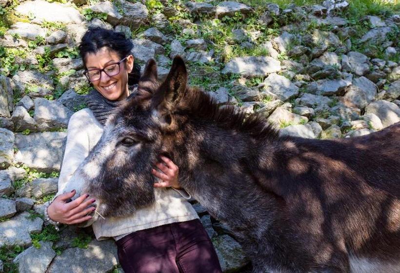 호텔 Agriturismo A Cà Vegia