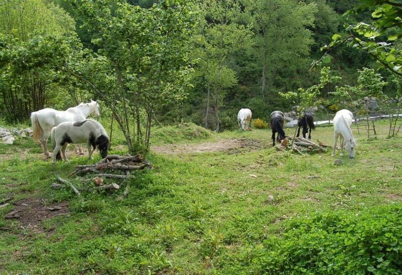 هتل Agriturismo Il Capitano