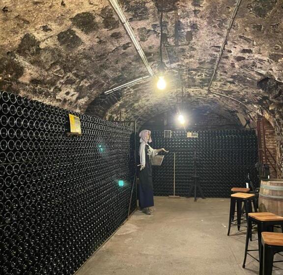 تختخواب و صبحانه Champagne Philippe Martin