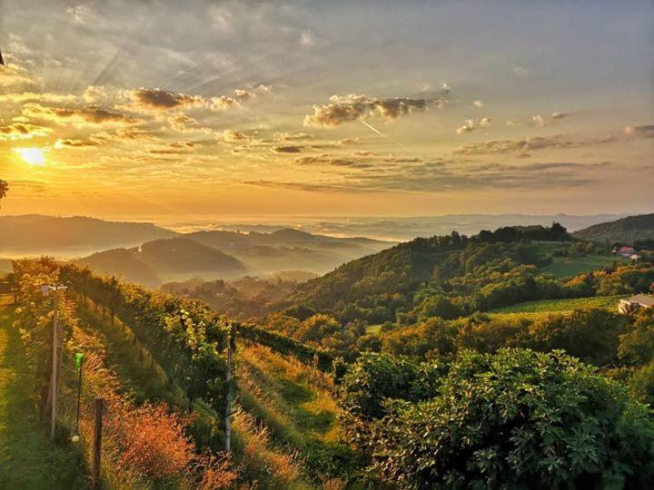 Bed and Breakfast Weingut Albert, Familie Cramer