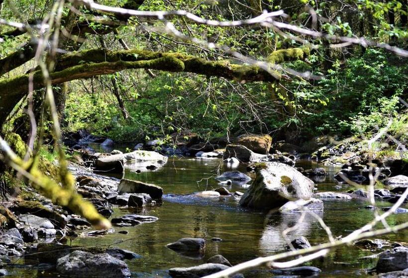 بنسيون Penthouse Lebierre