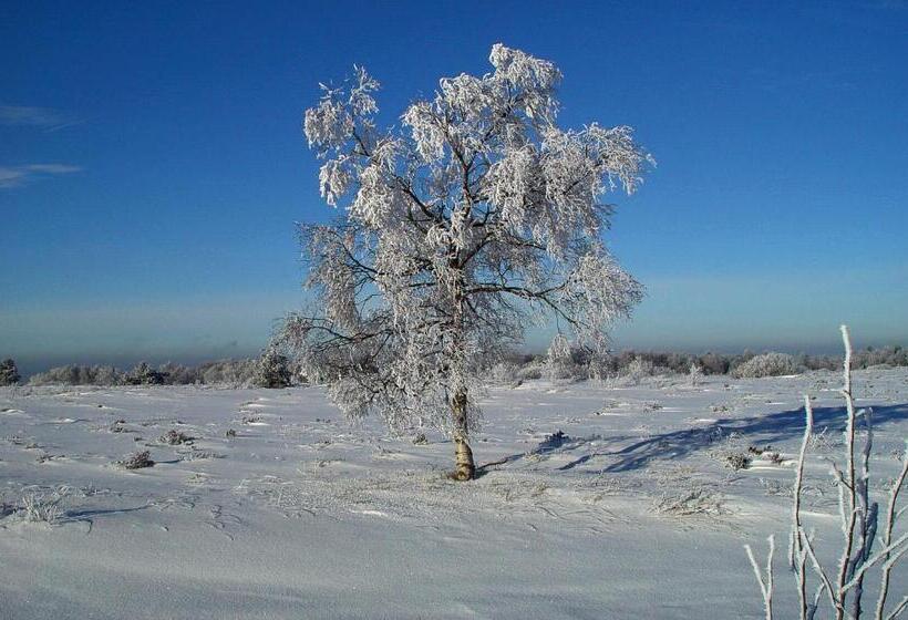 بنسيون Penthouse Lebierre