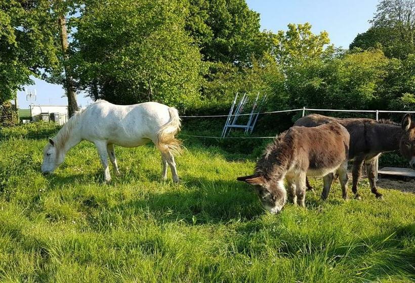 צימר La Bergerie Du Mesnil