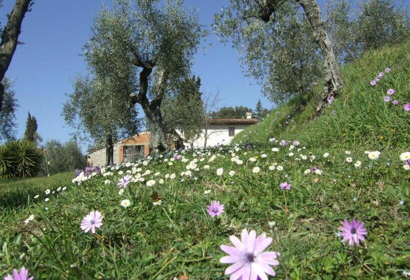 تختخواب و صبحانه Podere Sanlorenzo