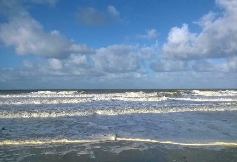 ペンション Knokke Guestroom Charming Room In Knokke City Center Is Pet Friendly!