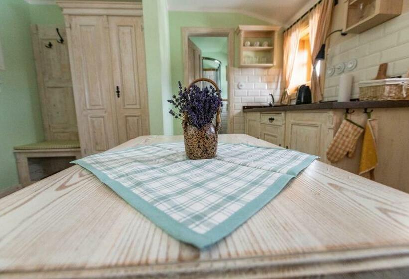 بنسيون Stará škola