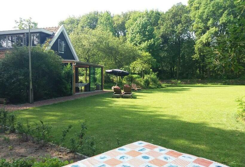 B&b Immer Met Moed