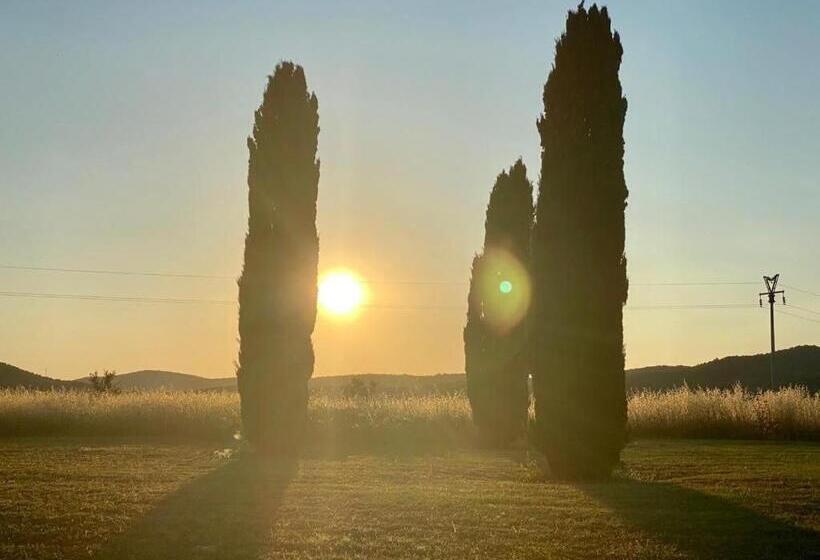 تختخواب و صبحانه Casale Artemisia Capalbio