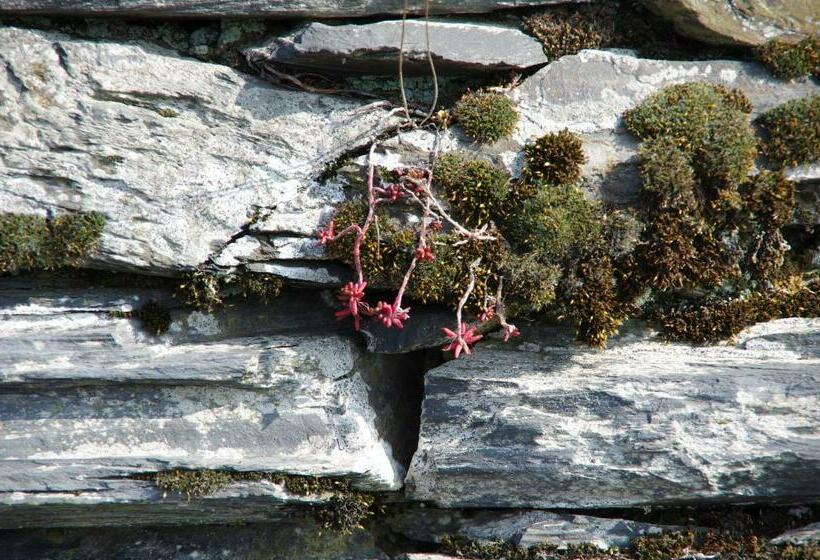 ホテル Weingut Weich