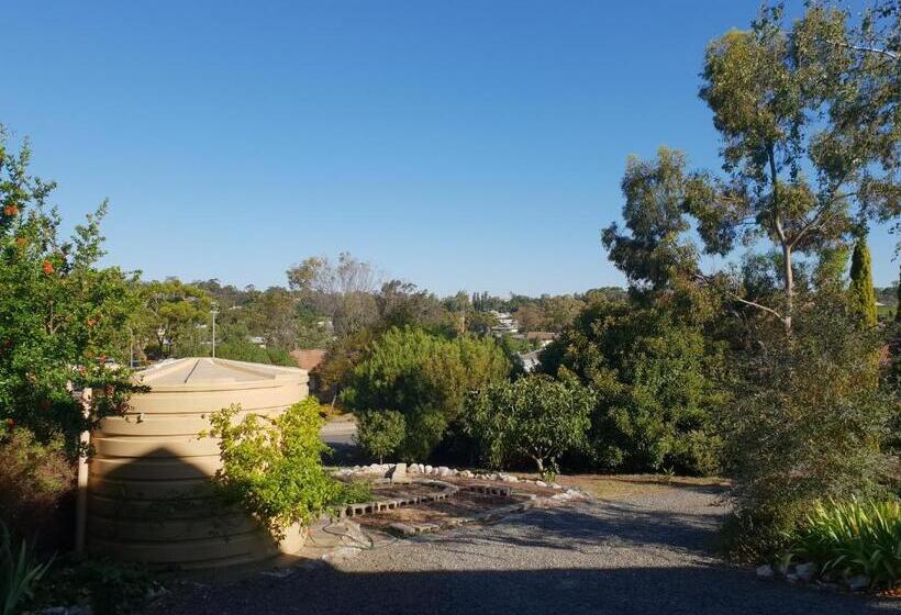 פנסיון Barossa Valley Studio