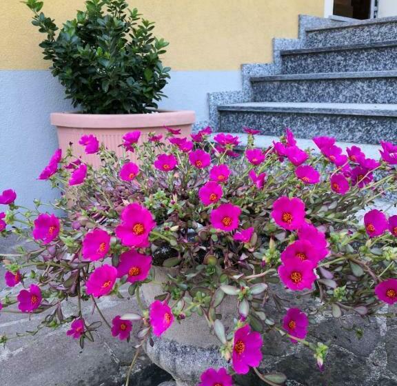 بنسيون La Casa Di Tino