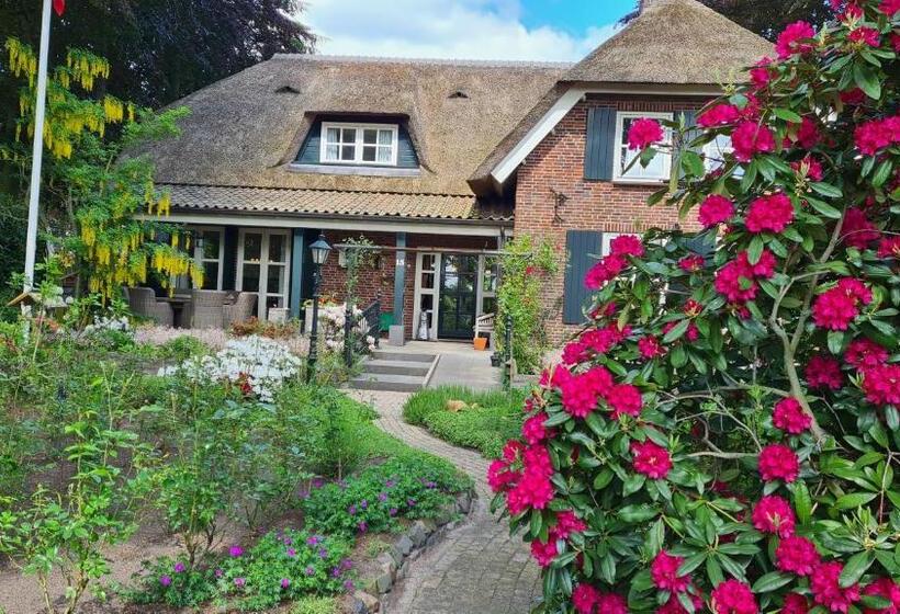 B&b De Zeven Berken