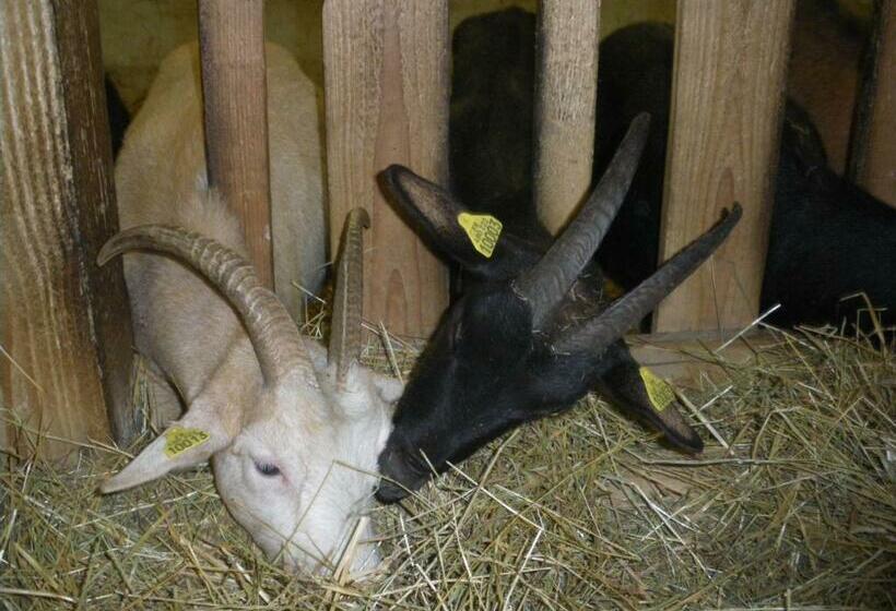 住宿加早餐  Gite Im Berg