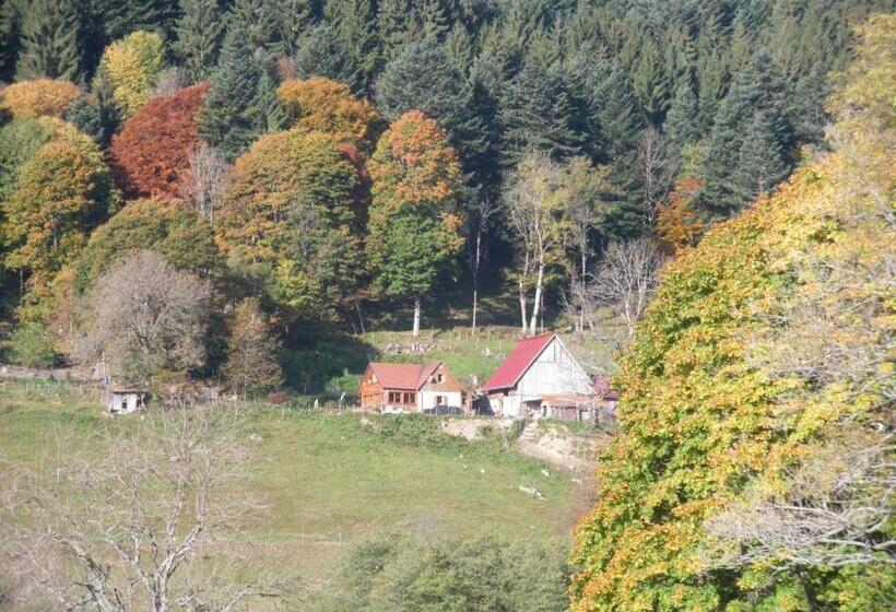 Bed and Breakfast Gite Im Berg