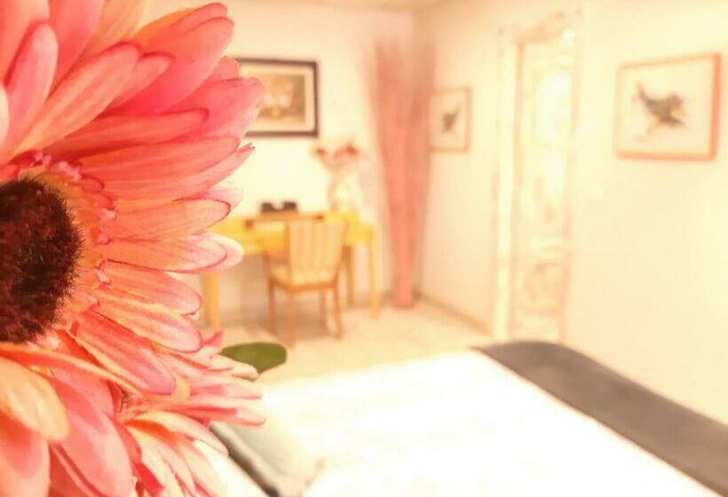 پانسیون Casa Solis