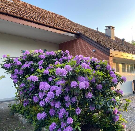 تختخواب و صبحانه Casa Wellbella
