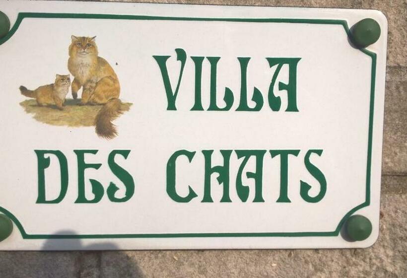 ベッドアンドブレックファースト La Villa Des Chats